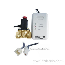 DC power supply network combustible gas detector